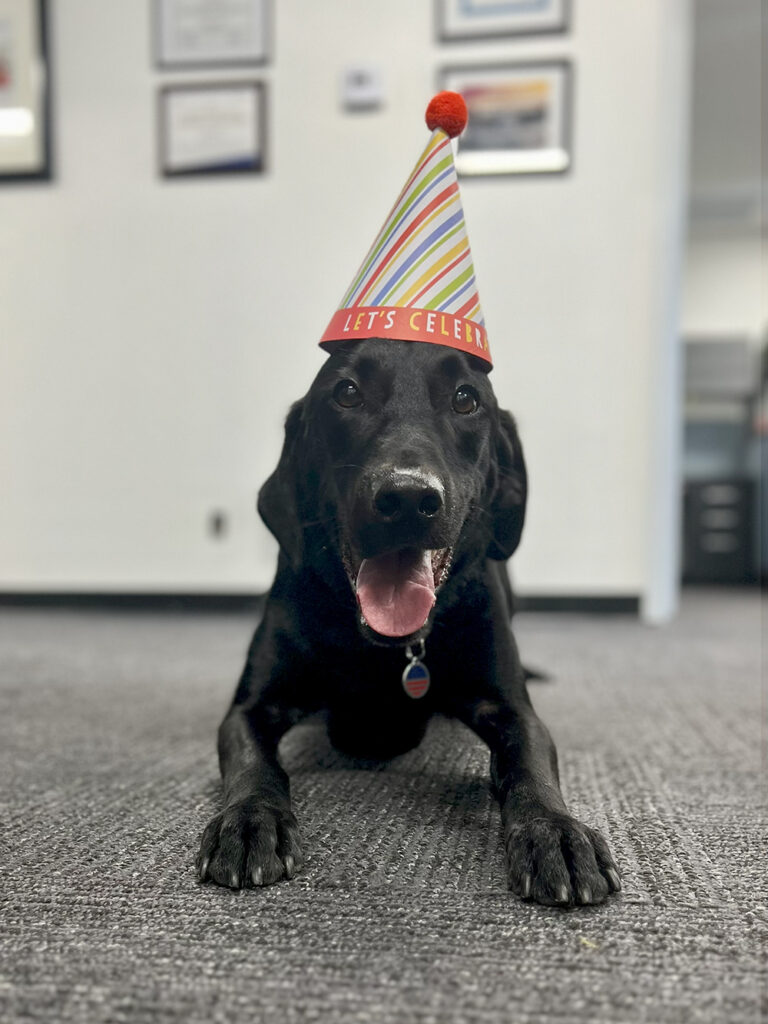 Maverick likes his party hat