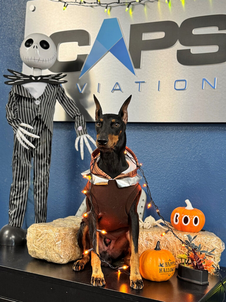 Ransom in his halloween costume